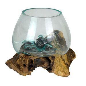 Planter Terrarium Driftwood Base Molten Glass Bowl 7.5 in Wood Glass